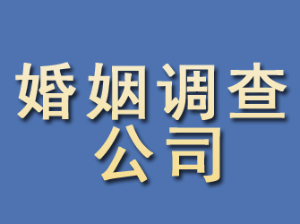 桐柏婚姻调查公司