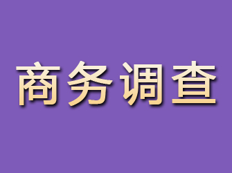 桐柏商务调查